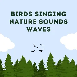 Birds Singing Nature Sounds Waves